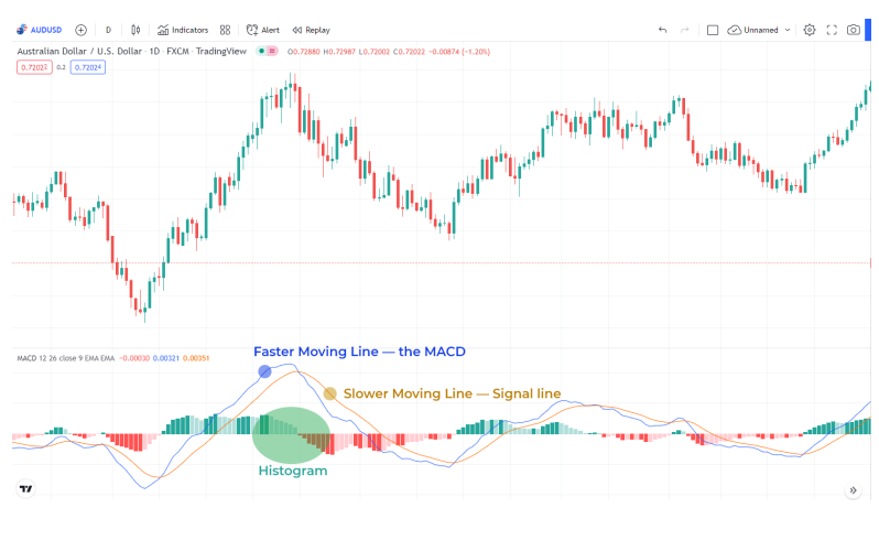 How to Use the MACD Indicator - Forex Trading Forum